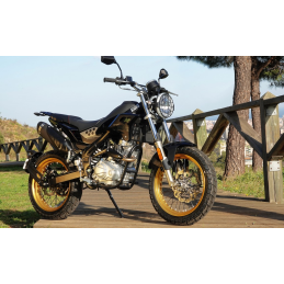 MDR Motorsone - Dealer Rieju Craiova