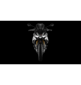 APRILIA TUONO V4 1100 APRILIA TUONO V4 1100