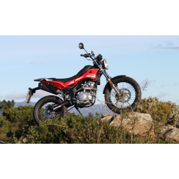 MDR Motorsone - Dealer Rieju Craiova